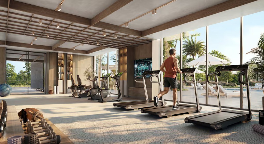 Avelia at The Valley by Emaar — fitness centre overlooking the pool